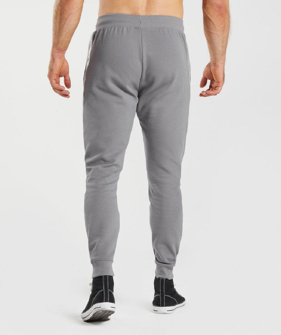 Pantalones Jogger Gymshark Bold React Hombre Gris | CO 3753VRW